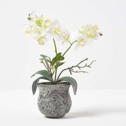 Orchidée artificielle blanche en pot foncé en ciment 32 cm - Blanc - Homescapes