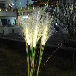 Lot De 2 Lampes Solaires En Roseau à Fibre Optique LED Scirpe Décorative Détachable Pour Jardin,