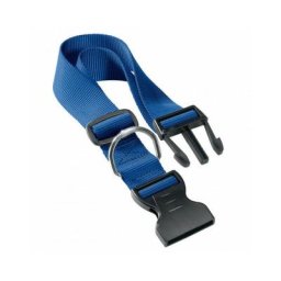 Ferplast - Collier chien ou chat uni nylon T2 Bleu 36-56 cm / 20 mm