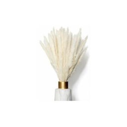 Lot De 30, Séchées, Herbe De Pampa, 42 Cm, Naturel, Herbe De Pampa, Séché, Pampa, Herbe De Pampa,