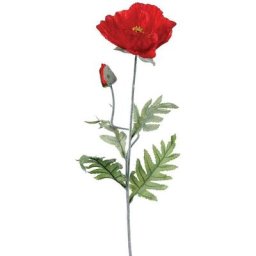 Tige coquelicot H70 Atmosphera créateur d'intérieur - Rouge