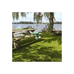 Décoweb - Gazon synthétique Pro Expert 40 - 40mm - 3m x 6m