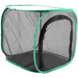 Grande cage d'élevage de maison de papillon ventilée durable portable pliable