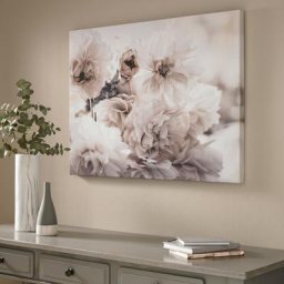 Toile imprimée Photo de Floraison 60 x 80cm Rose, gris - rose