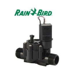 Electrovanne mm 1' Rain Bird 24 Volts Série dv
