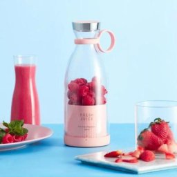 Mini extracteur de jus juicer Pour shakes et smoothies Fruits Legumes , mixeur portable