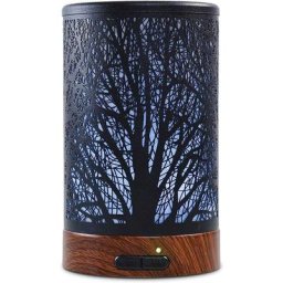 Ultrasonique Diffuseurs d'Huiles Essentielles Electrique ferreuse 100ml,Silencieux