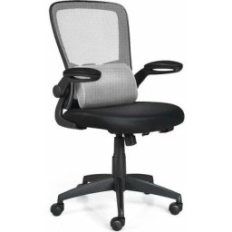 Chaise de Bureau Ergonomique avec Support Lombaire et Accoudoir Rabattable, Chaise de Bureau à 5