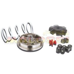 MALOSSI Variateur Multivar 2000