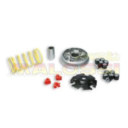 MALOSSI Variateur Multivar 2000