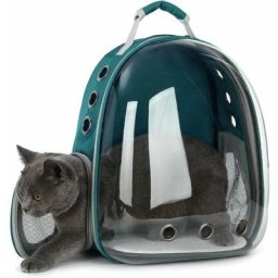 Transporteur d'animaux Sac à Dos Transparent Chiens et Chats Sac de Transport Extérieur Conception