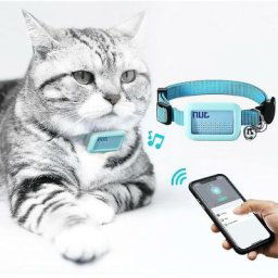 Collier pour chien étanche gps Tracker Bluetooth Locator Chien et chat Collier anti-perte, Pet