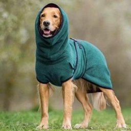 Peignoir en microfibre pour chien Serviette de bain pour chien à séchage rapide -l Vert