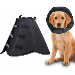 Collier conique pour chien pour après la chirurgie, collier de récupération doux pour animaux de