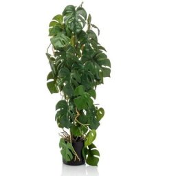 Monstera artificiel 75 cm en pot Emerald Vert