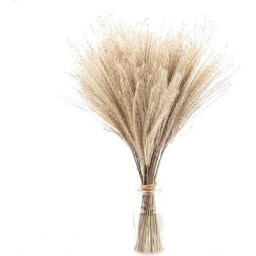 50 pcs/lot 40 cm artificielle pampa séchée herbe Boho Style décoration de la maison canne fleurs