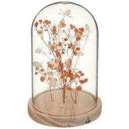 Atmosphera - Fleurs séchées sous cloche Gypsy H17 cm créateur d'intérieur - Orange