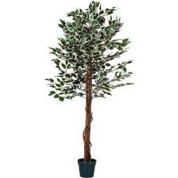 Ficus Benjamini artificiel, tige en bois véritable, arbre artificiel, choix de la taille, 190 cm,