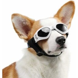 Lunettes de soleil pour chien, sangle réglable pour lunettes de soleil uv, protection imperméable