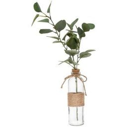 Vase avec Eucalyptus Atmosphera créateur d'intérieur - Transparent
