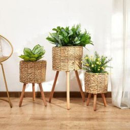 Paco Home - Pot De Fleurs Cache-Pot Grand Bac Intérieur Pot De Plantes Lot Osier Tressé Bois