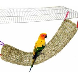 Oiseau Escalade Filet Tissé Net Hamac Perroquet Escalade Corde Échelle Jouet à Mâcher 6.7 x 28.3
