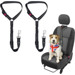 Lot de 2 ceintures de sécurité pour chien - Harnais de sécurité réglable et solide pour animaux de