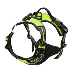 Blue Dream - Vert, taille S-True Love Harnais Chien Anti Traction pour Chien Réfléchissant