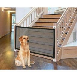 Moonstars - Chien Isolation Filet Portable Pliable Pet Isolation Barrière Chien Barrière Sécurité