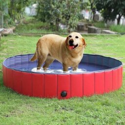 Piscine Grand pour Chien Pliable Piscine Baignoire Bassin de Baignade Bain pour Chien/Chat Animal