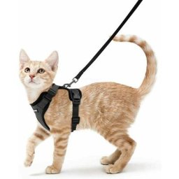 Harnais Chat Petit Chien Laisse Harnais Chaton Réglable Noir s Collier Harnai Chat Refléchissant