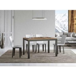 Table rectangulaire extensible 6 à 10 personnes L 120 à 224 cm bois clair et métal anthracite Evy