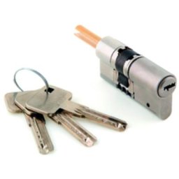 Somfy - cylindre standard pour serrure connectée 2401451