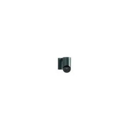 Caméra de surveillance outdoor camera extérieure grise - 2401563 - sir ène intégrée Somfy