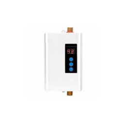 Chauffe-Eau électrique sans réservoir, 220V 4000W Mini Chauffe-Eau électrique instantané Douche