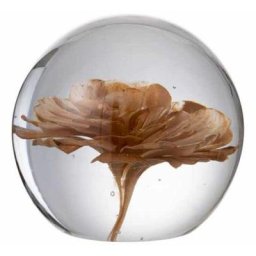 Presse Papier En Verre fleur 12cm Marron - Paris Prix