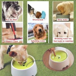 Gamelle anti-éclaboussures pour chiens, 2 en 1 innovante anti-éclaboussures, anti-poussière,