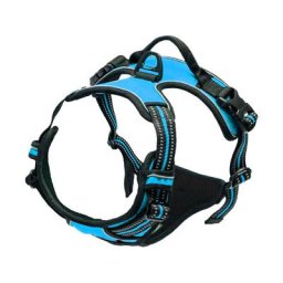 Blue Dream - Bleu, taille S-True Love Harnais Chien Anti Traction pour Chien Réfléchissant