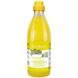 Iv San Bernard - shampooing gingembre et sureau pour les chiens fruit du shampooing toiletteur