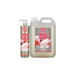 Hydra Care Shampoo Shampooing hydra care shampooing 5 l. - Ibanez