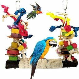 Jouet Perroquet,Jouets pour Oiseaux, Jouet De Morsure De Perroquet, Pont Échelles, Balançoire Jouet