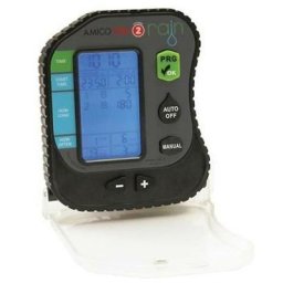 Amico PRO2 2 zones de batterie programmer 31257235 - Rain
