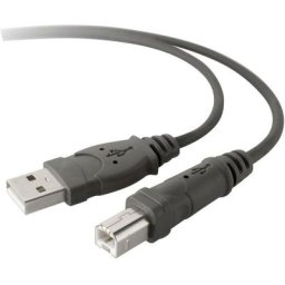Belkin - Câble usb usb 2.0 usb-a mâle, usb-b mâle 3.00 m noir contacts dorés, certifié ul