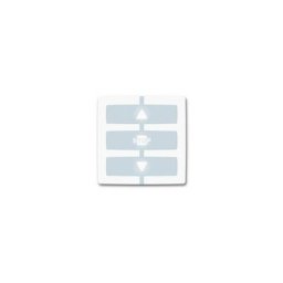 Télécommande Nice way module émetteur wm001g
