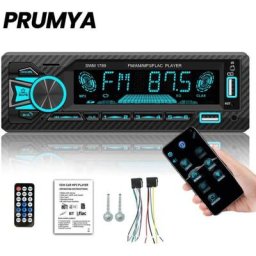 Ranipobo - Autoradio Lecteur MP3 12V controle app connexion Bluetooth double telephone Avec