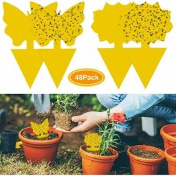 48Pcs plug-in piège à mouches plaques jaunes autocollant jaune plante de protection contre les