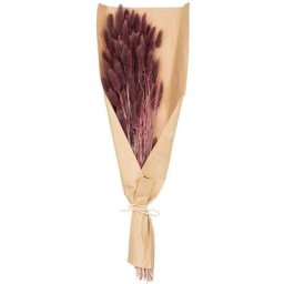 Bouquet fleurs séchées Queue de lapin - H58 cm Atmosphera créateur d'intérieur - Violet