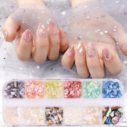 Boîte de strass de coquillage pour Nail Art 12 modèles paillettes de coquillage 12 grilles/boîte