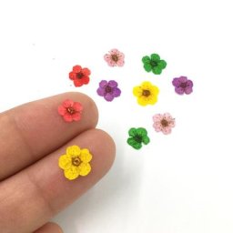 Autocollant de fleurs séchées en 3D pour les ongles lot de 50 pièces cinq pétales de fleurs