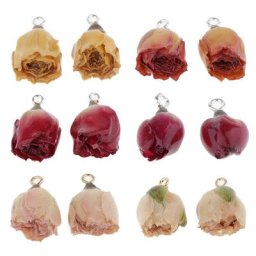 Breloques de fleurs séchées en résine bijoux de bricolage résultats exécutifs 2 pièces